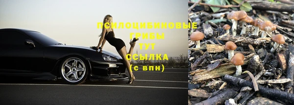 стаф Верхний Тагил