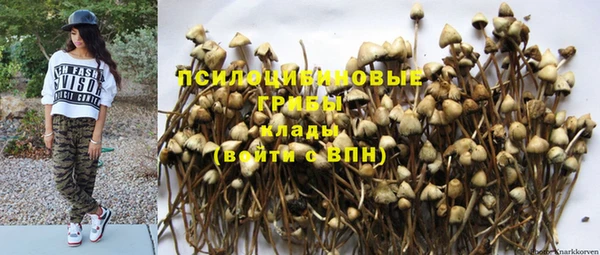 стаф Верхний Тагил