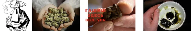Альфа ПВП Верея