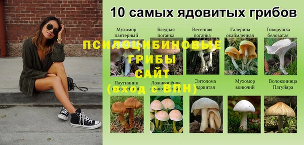 стаф Верхний Тагил