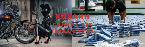 Альфа ПВП Верея